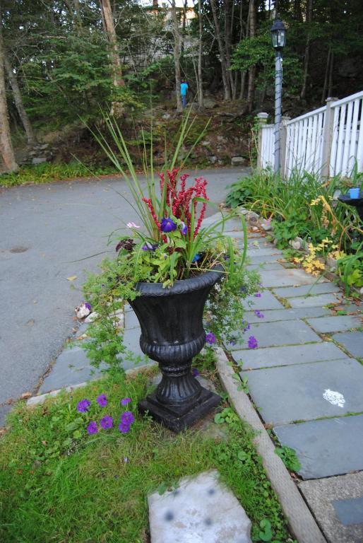 Ascendence Halifax Bed And Breakfast Exterior photo