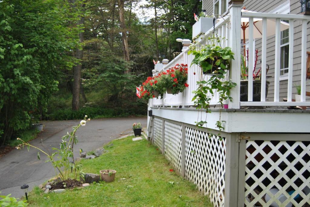 Ascendence Halifax Bed And Breakfast Exterior photo